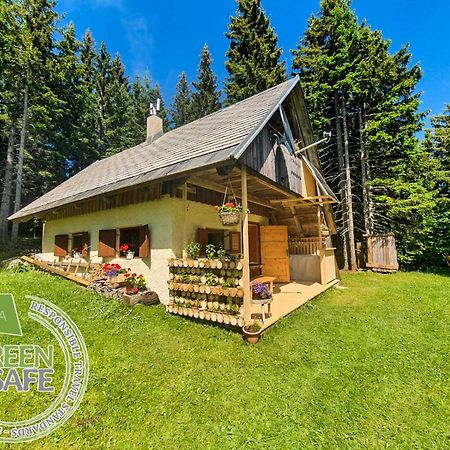 Mountain Eco Chalet Konjska Dolina On 1400 M Asl -Near Pokljuka Srednja Vas v Bohinju Exterior foto